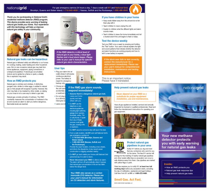 Residential methane detector brochure – DNY