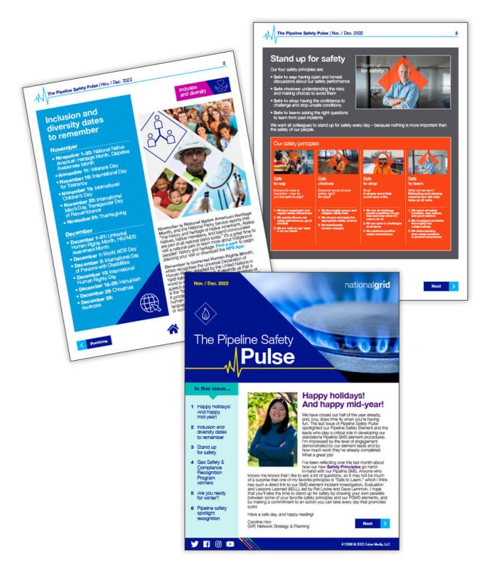 The Pipeline Safety Pulse e-newsletter (November / December 2022)