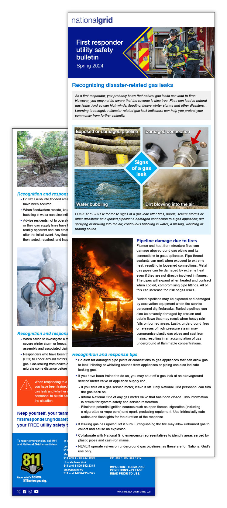 Recognizing disaster-related gas leaks