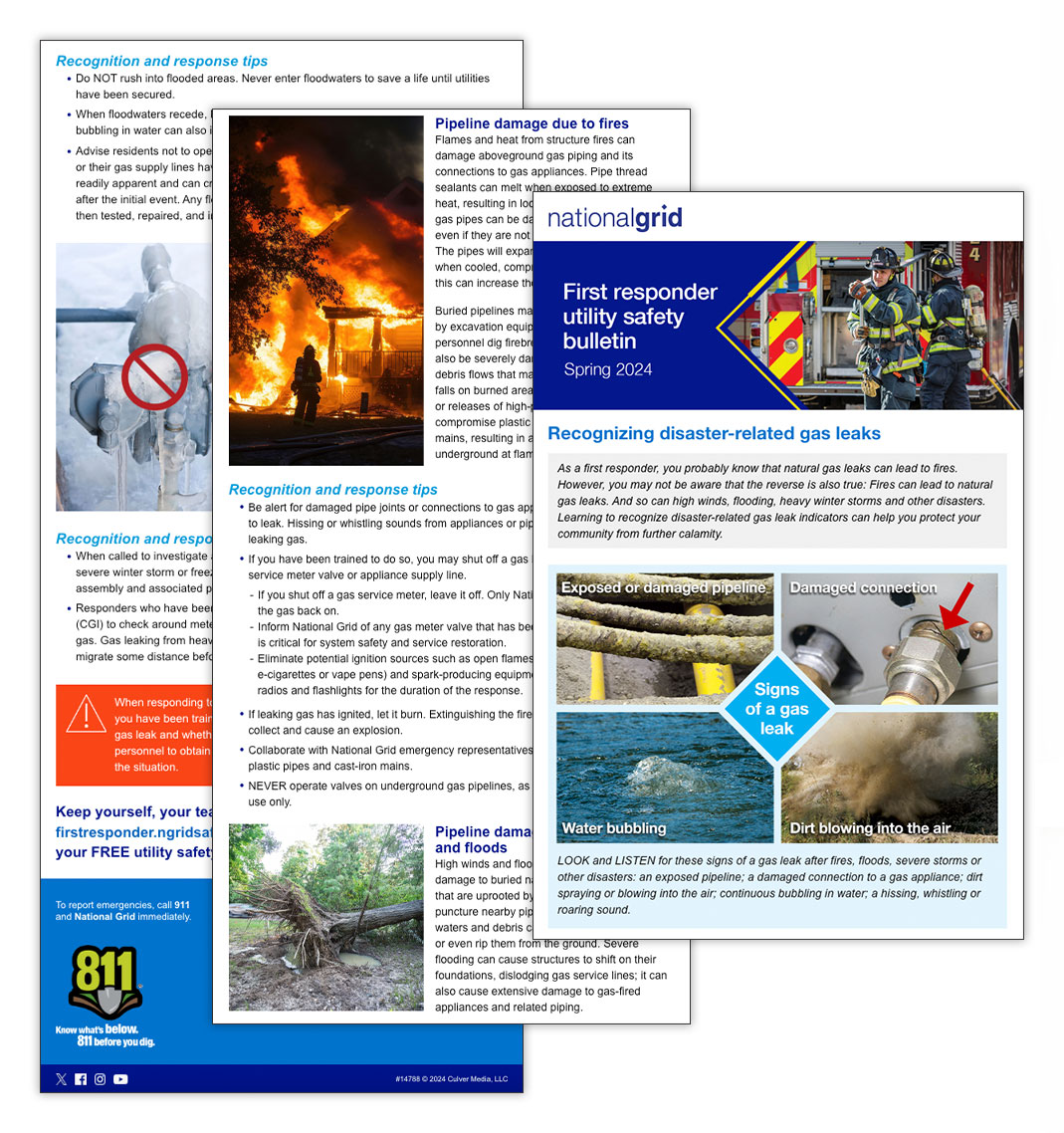 Recognizing disaster-related gas leaks